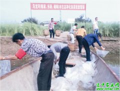 资中县开展水生态净化鱼苗投放活动